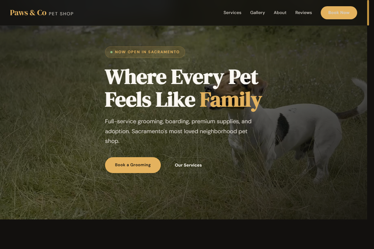 Paws and Co website